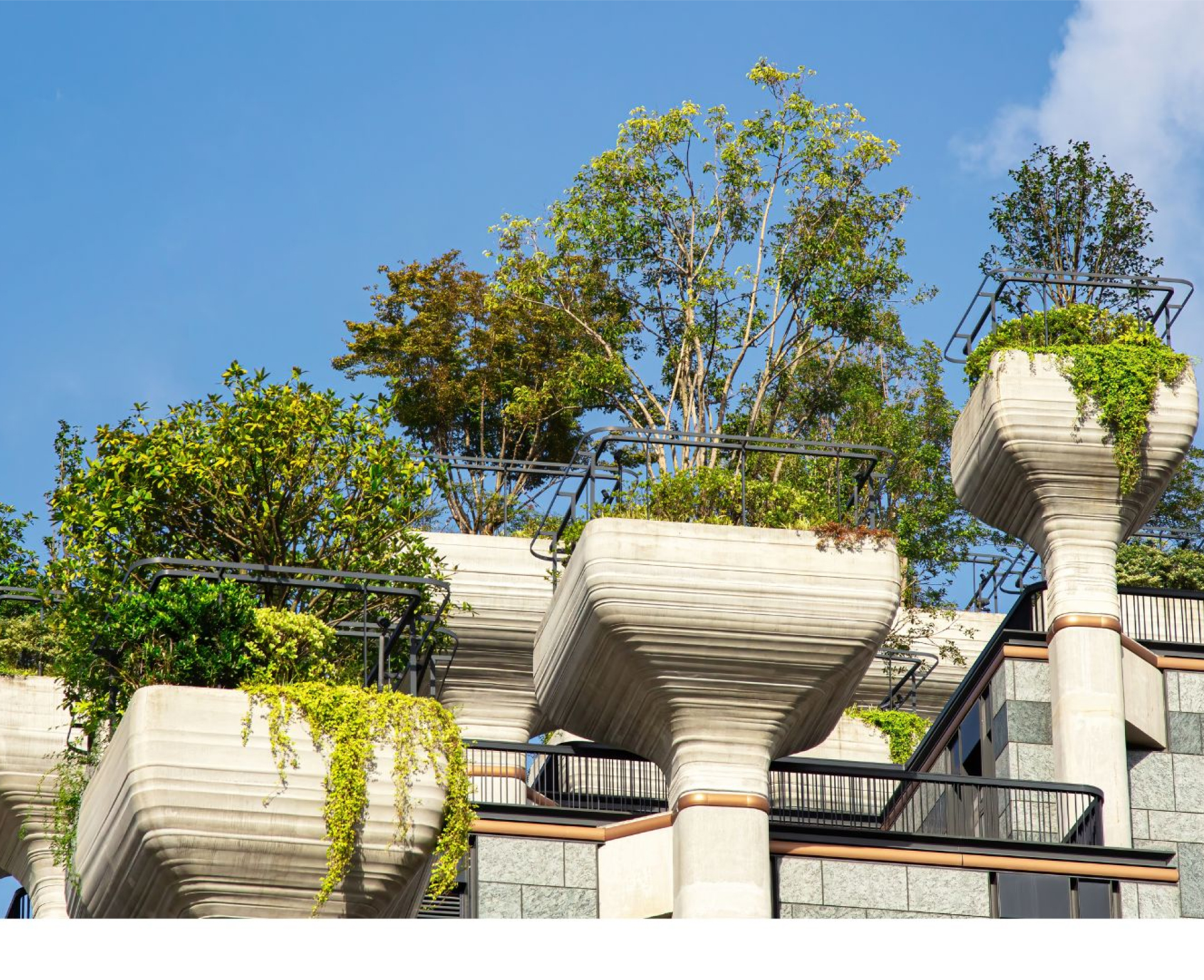 Climate-Responsive Design